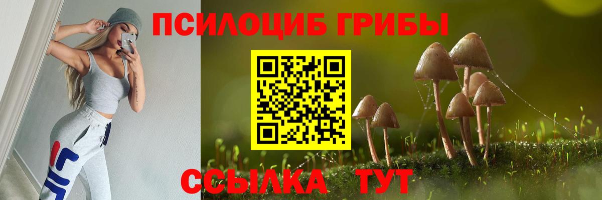 Галлюциногенные грибы Magic Shrooms  Вход с VPN  Галлюциногенные грибы Psilocybine cubensis  Алексеевка 